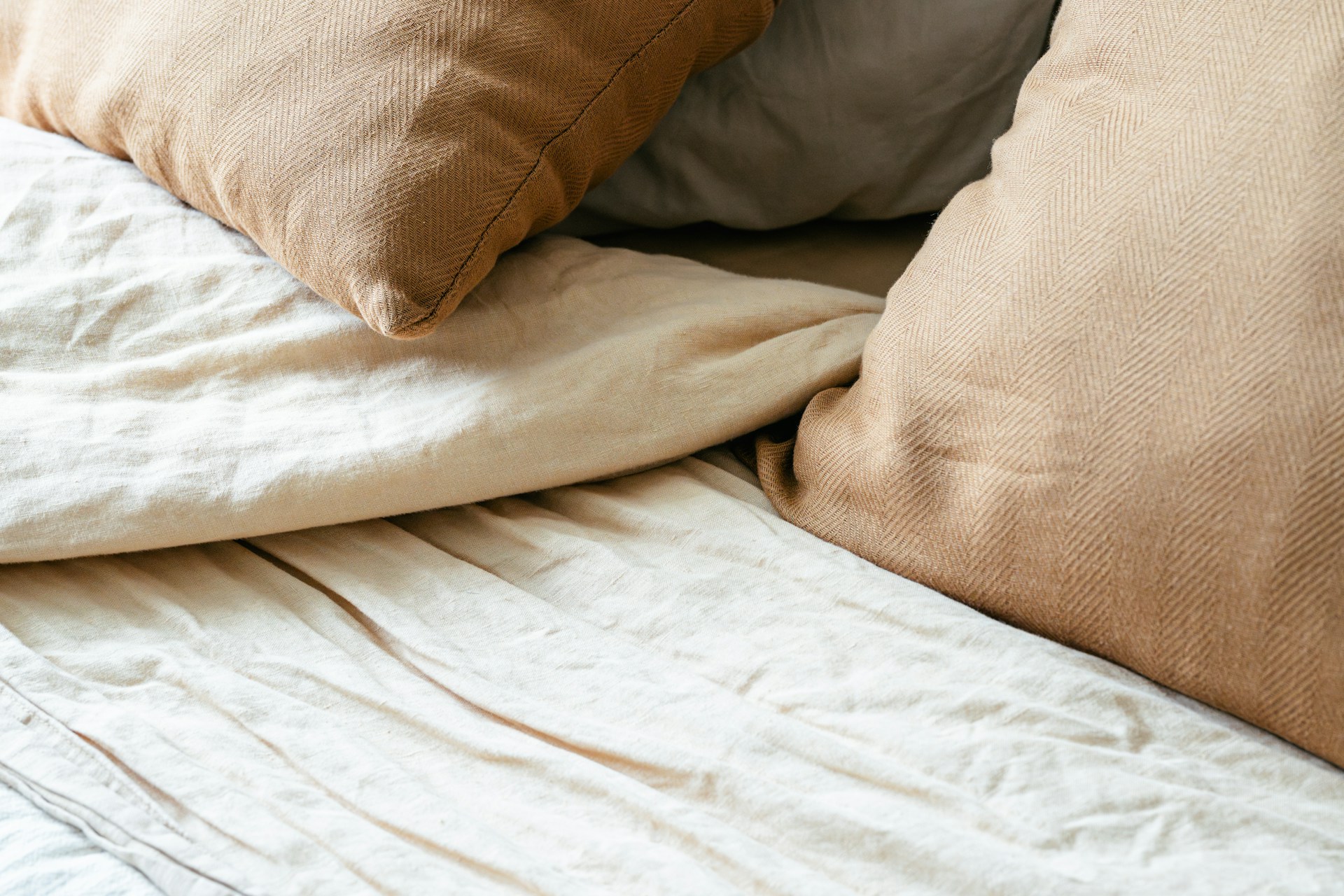Why Bed Bugs Keep Coming Back After DIY Treatments In Ottawa