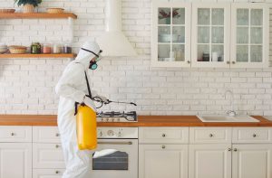 pest control