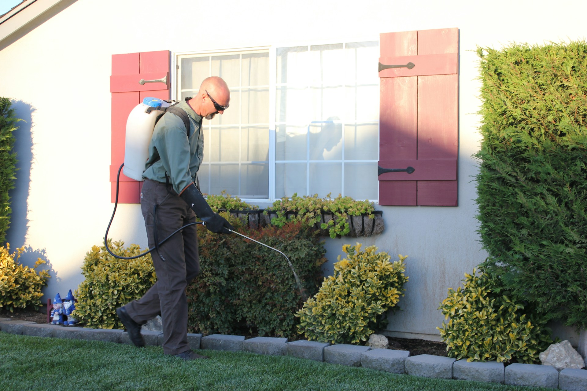What Makes a Good Pest Exterminator in Ottawa This Season