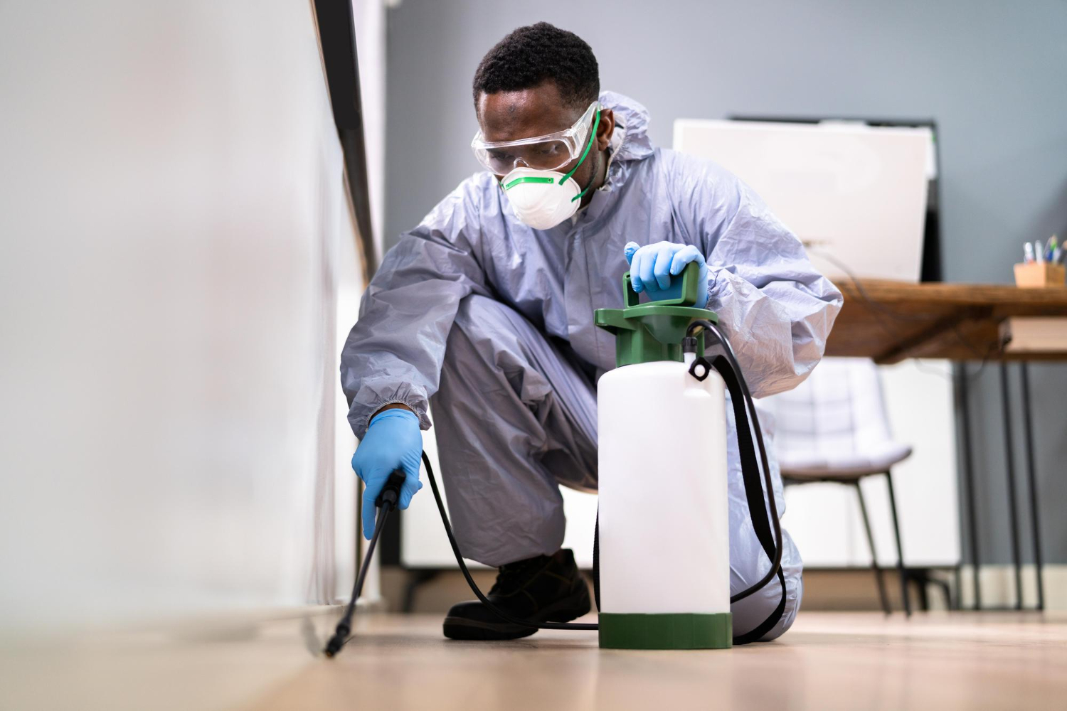 Why You Might Need an Ottawa Pest Control Company Before Summer
