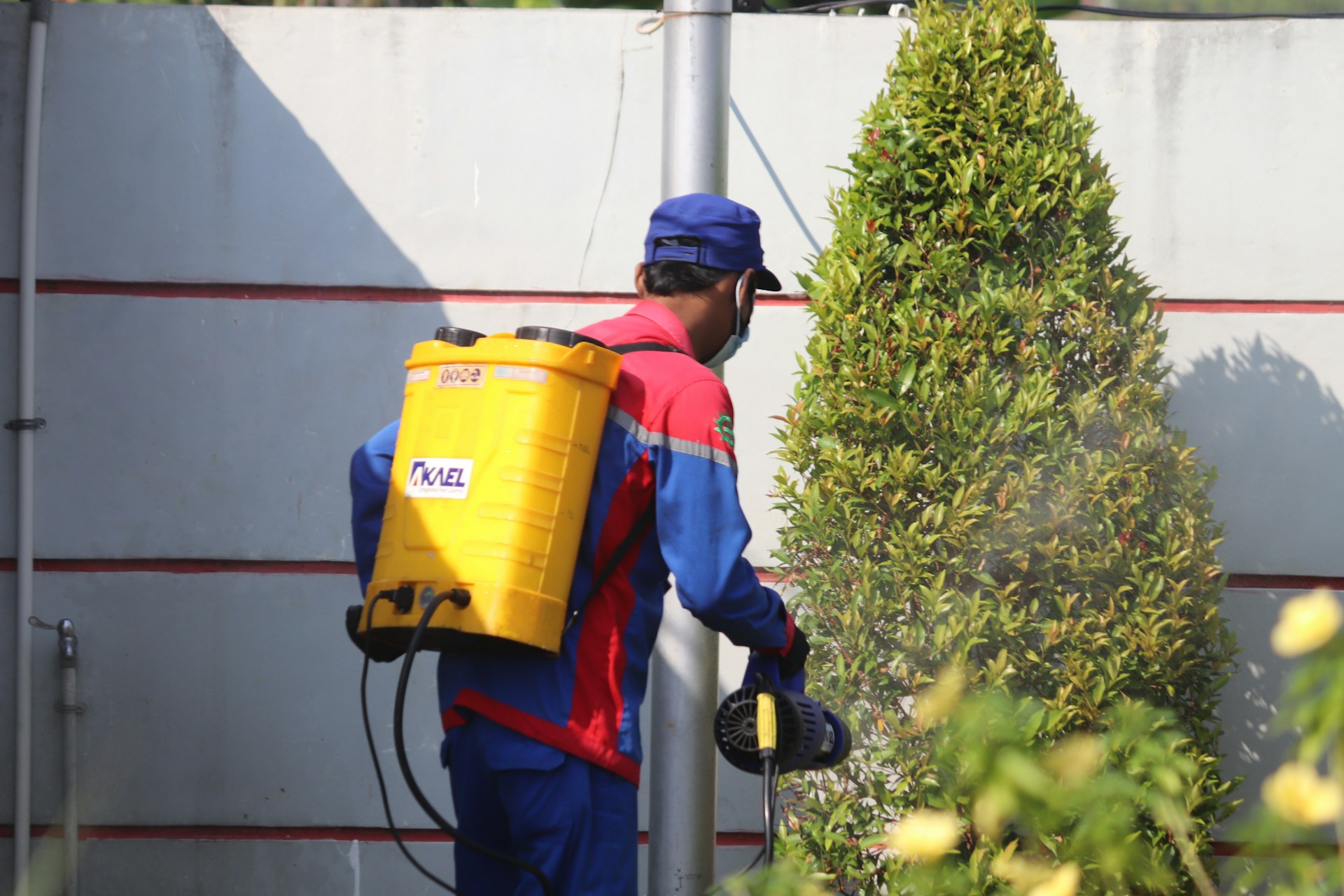 What to Expect From Pest Removal Services in Kanata