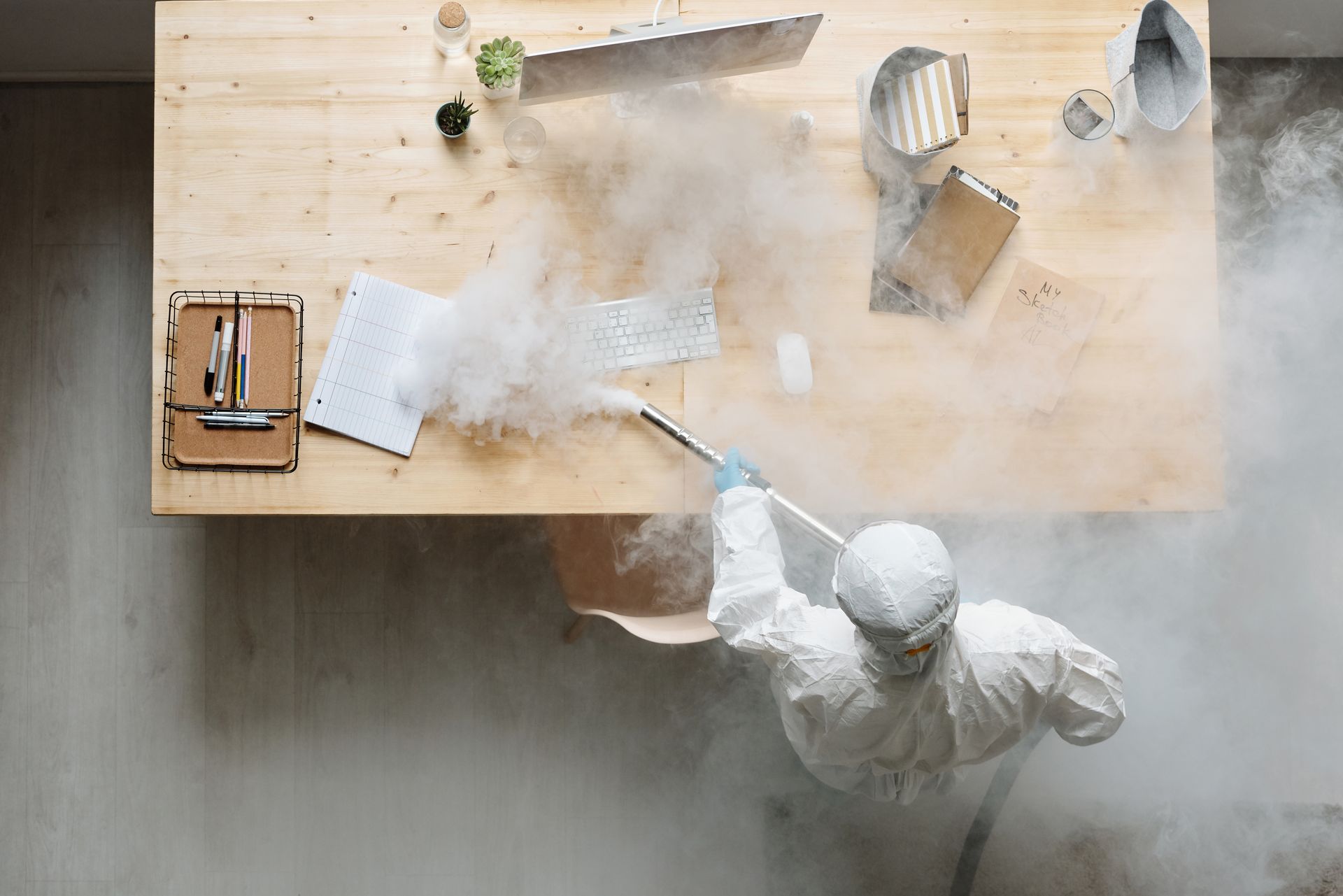 How Commercial Pest Control Keeps Ottawa Businesses Safe in Summer