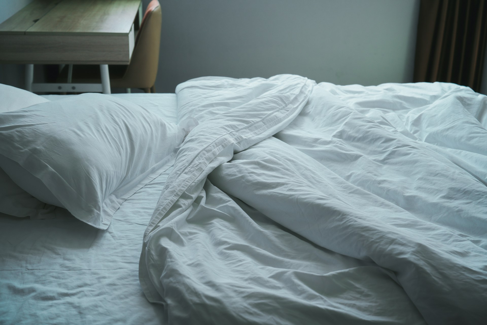 Are Bed Bugs More Active in Late Summer in Ottawa?