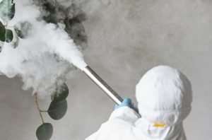 pest control