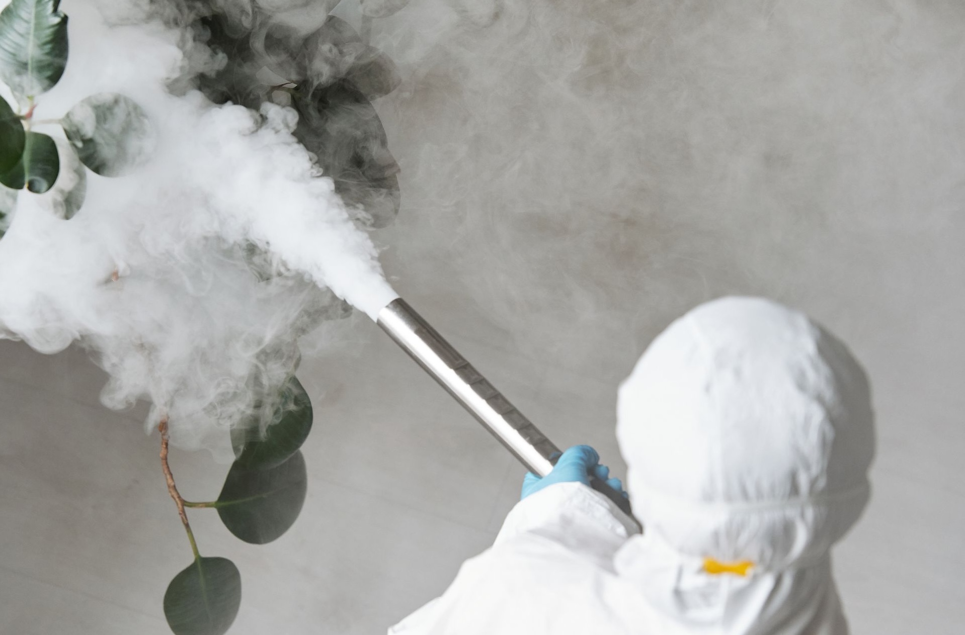 What Local Pest Control in Ottawa Focuses on in August