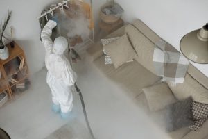 Pest Control