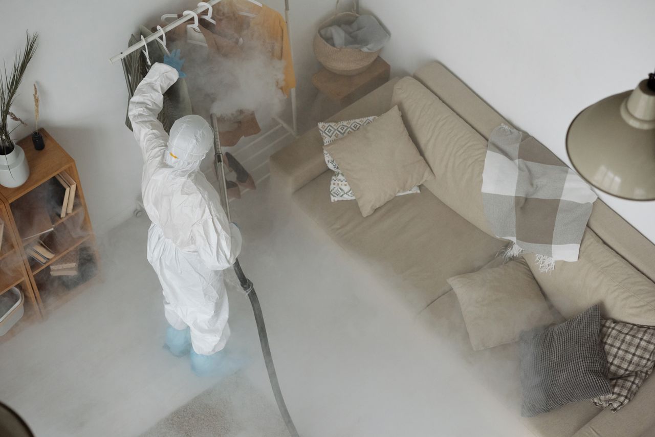 Most Ignored Signs You Need Pest Control in Kanata
